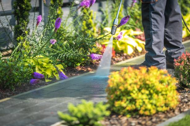Trusted Hines, OR Pressure Washing Experts
